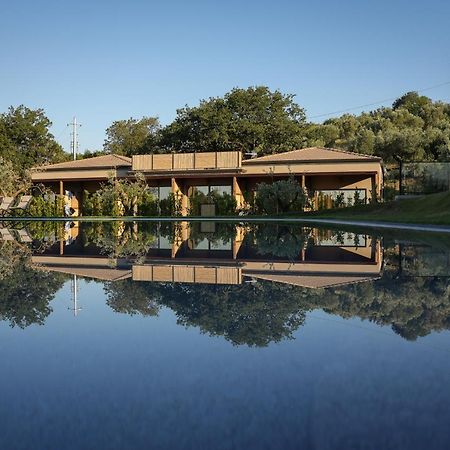 Hang Loose Cottage Hotel & Resort 4 Stelle Gizzeria Calabria Exterior foto